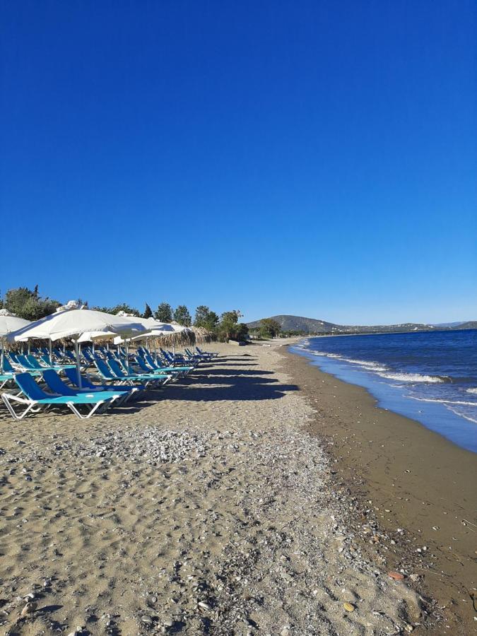 Cozy Flat In Nea Makri Apartment Ngoại thất bức ảnh
